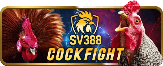 Slots Win58
